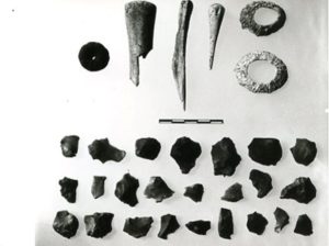Material coming from the test quadrats of the submerged settlement of Agios Petros (1981)