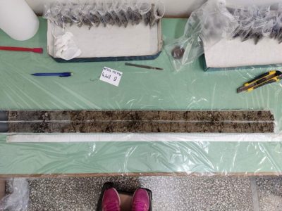 Cores opened in the Geology Department of the University of Thessaloniki; their content indicates possible evidence of terrestrial deposits with organic material