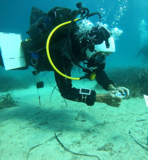 Topographers-divers working on the underwater grid in the 2021 season