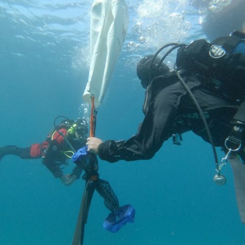 Topographers-divers working on the grid